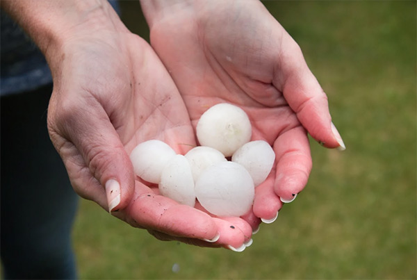 Storm Damage Repair Services Storm Damage Repair Services